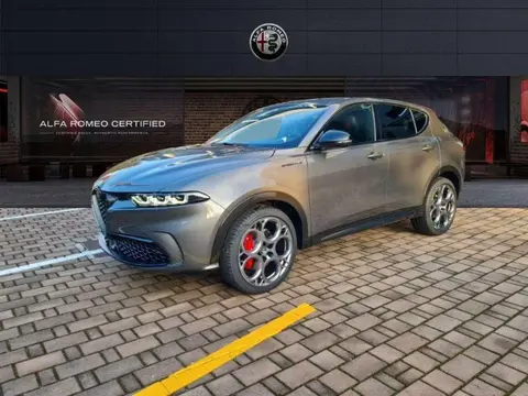 Annonce ALFA ROMEO TONALE Essence 2024 d'occasion 