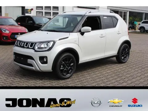 Used SUZUKI IGNIS Hybrid 2024 Ad 