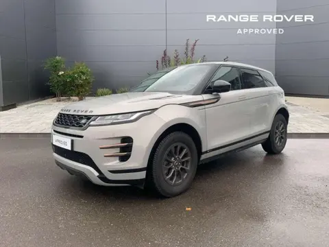 Used LAND ROVER RANGE ROVER EVOQUE  2019 Ad 