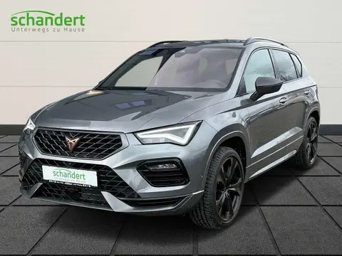 Annonce CUPRA ATECA Essence 2024 d'occasion 