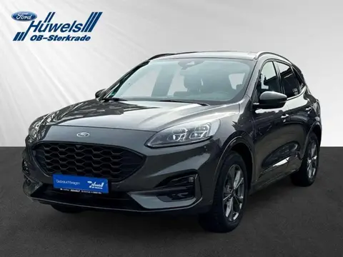 Annonce FORD KUGA Hybride 2022 d'occasion 