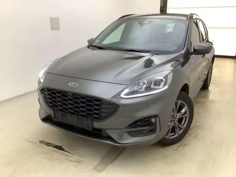 Used FORD KUGA Hybrid 2023 Ad 