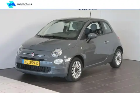 Annonce FIAT 500 Essence 2016 d'occasion 