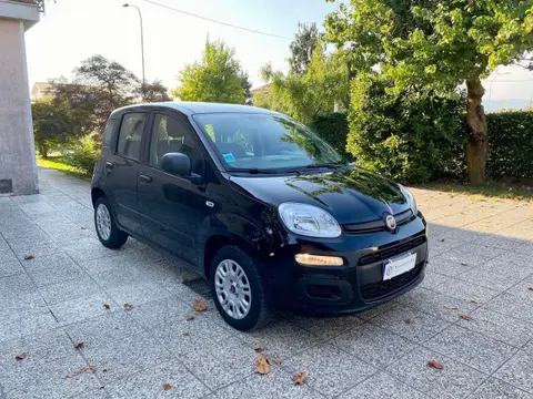 Annonce FIAT PANDA Essence 2019 d'occasion 