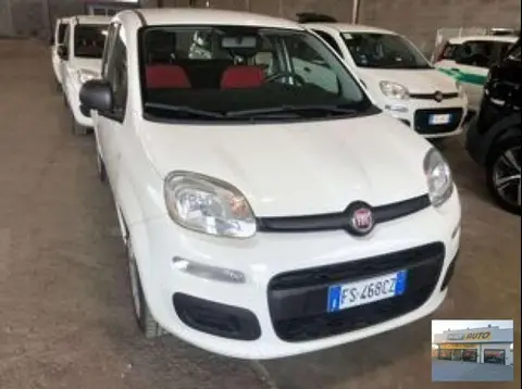 Used FIAT PANDA Petrol 2018 Ad 