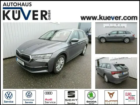 Used SKODA OCTAVIA Petrol 2024 Ad 