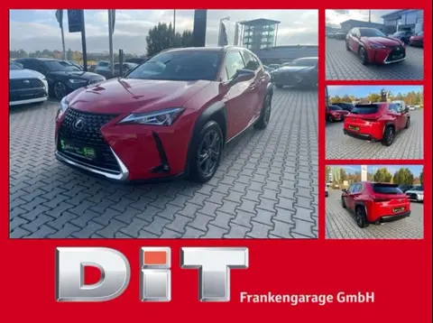 Used LEXUS UX Hybrid 2021 Ad 