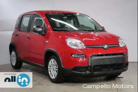 Used FIAT PANDA Hybrid 2024 Ad 