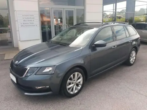 Used SKODA OCTAVIA Diesel 2019 Ad 