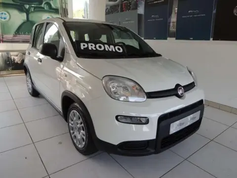 Used FIAT PANDA Hybrid 2024 Ad 