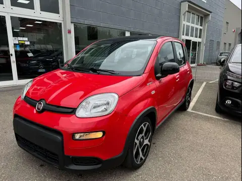 Annonce FIAT PANDA Hybride 2021 d'occasion 