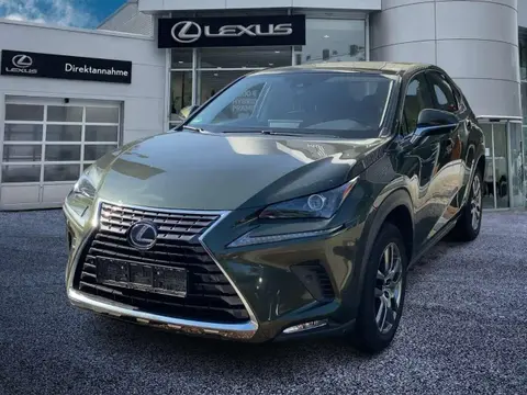 Annonce LEXUS NX Hybride 2021 d'occasion 