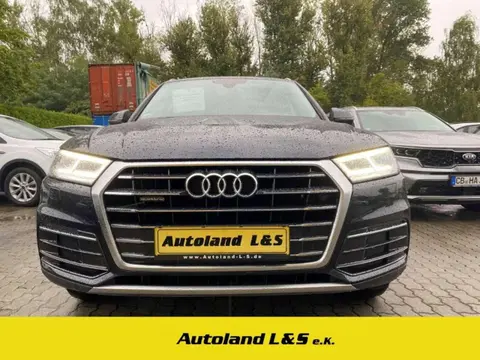 Used AUDI Q5 Diesel 2017 Ad 