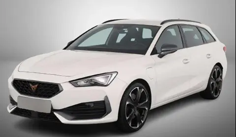 Used CUPRA LEON Hybrid 2022 Ad 