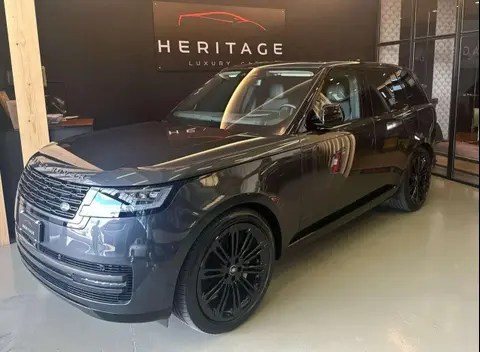 Annonce LAND ROVER RANGE ROVER Hybride 2024 d'occasion 