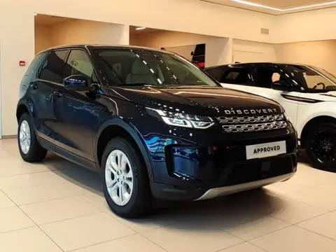 Used LAND ROVER DISCOVERY Hybrid 2022 Ad 