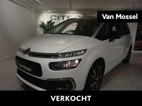 Annonce CITROEN C4 Essence 2021 d'occasion 