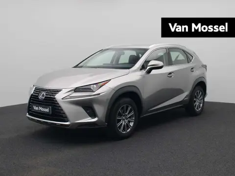 Annonce LEXUS NX Hybride 2019 d'occasion 