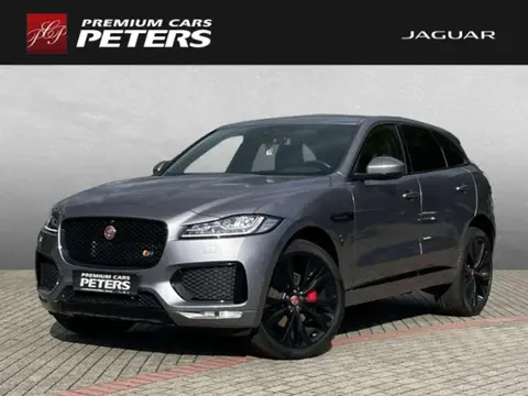 Used JAGUAR F-PACE Diesel 2020 Ad 