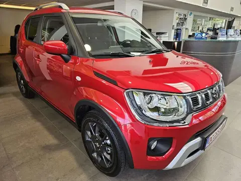 Annonce SUZUKI IGNIS Essence 2024 d'occasion 