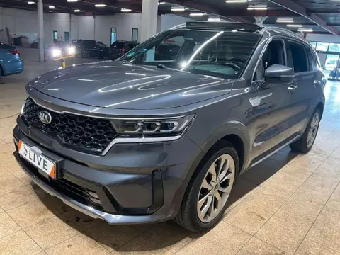 Annonce KIA SORENTO Diesel 2021 d'occasion 