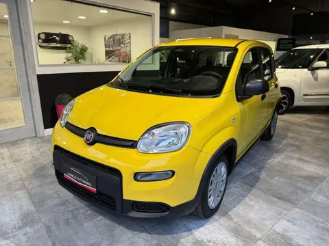 Annonce FIAT PANDA Hybride 2024 d'occasion 