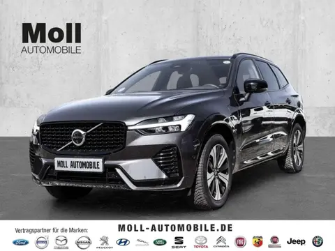 Annonce VOLVO XC60 Hybride 2024 d'occasion 