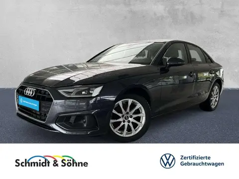 Used AUDI A4 Petrol 2021 Ad Germany