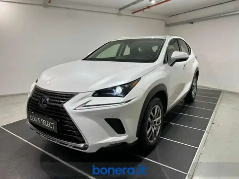 Annonce LEXUS NX Hybride 2018 d'occasion 