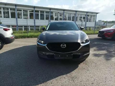 Used MAZDA CX-30 Petrol 2020 Ad Germany