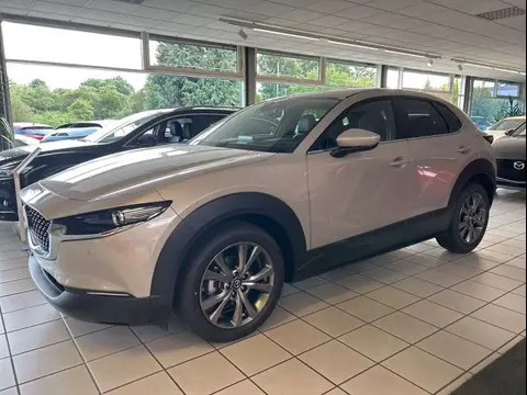 Used MAZDA CX-30 Hybrid 2024 Ad 