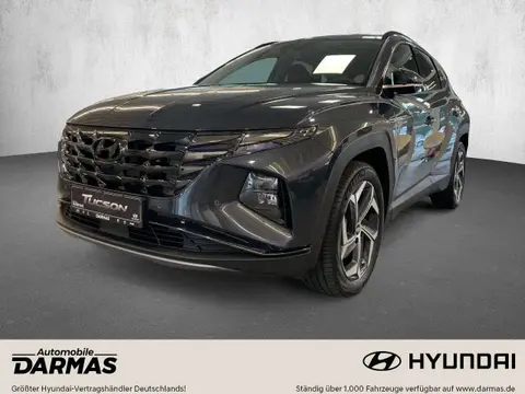 Used HYUNDAI TUCSON Hybrid 2023 Ad 