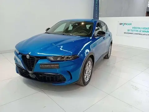 Annonce ALFA ROMEO TONALE Diesel 2023 d'occasion 