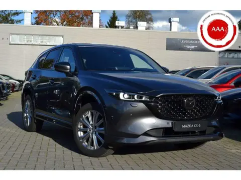 Used MAZDA CX-5 Petrol 2022 Ad 