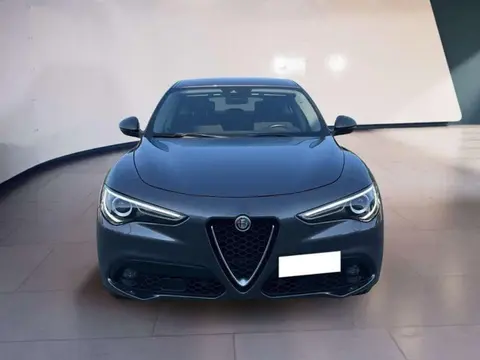 Used ALFA ROMEO STELVIO Diesel 2020 Ad Italy