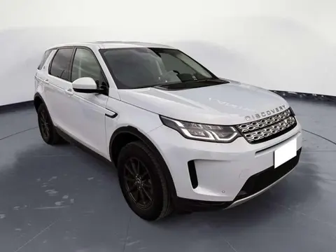 Used LAND ROVER DISCOVERY Hybrid 2019 Ad 