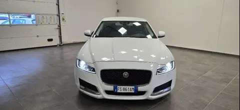 Used JAGUAR XF Diesel 2018 Ad 