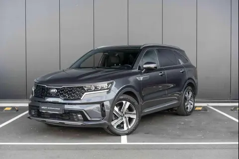 Annonce KIA SORENTO Hybride 2021 d'occasion 