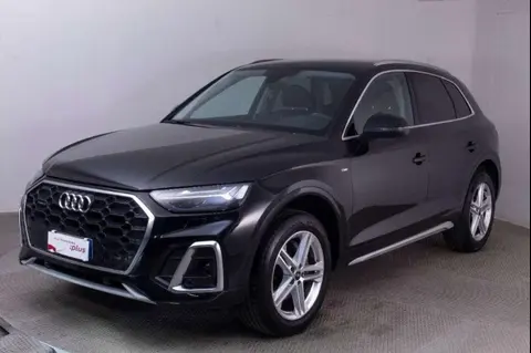 Used AUDI Q5 Hybrid 2023 Ad 