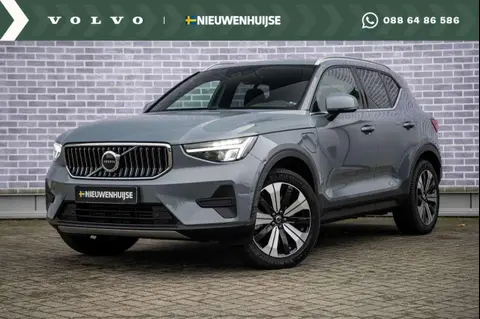 Used VOLVO XC40 Hybrid 2023 Ad 