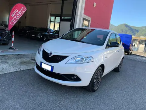 Annonce LANCIA YPSILON GPL 2020 d'occasion 