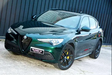 Annonce ALFA ROMEO STELVIO Diesel 2021 d'occasion 