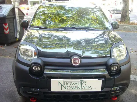 Annonce FIAT PANDA Hybride 2024 d'occasion 