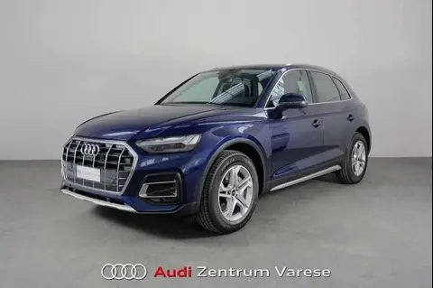 Used AUDI Q5 Hybrid 2024 Ad 