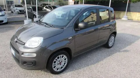 Annonce FIAT PANDA Essence 2019 d'occasion 