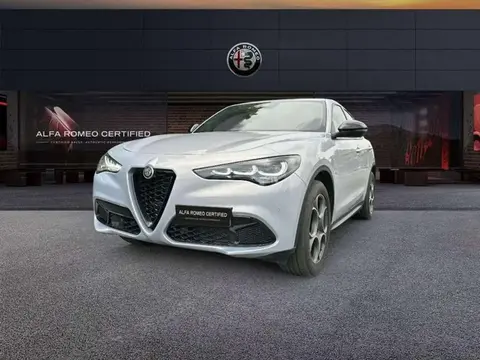 Annonce ALFA ROMEO STELVIO Diesel 2023 d'occasion 