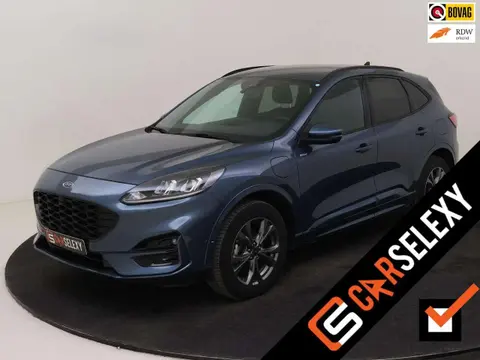 Annonce FORD KUGA Hybride 2022 d'occasion 