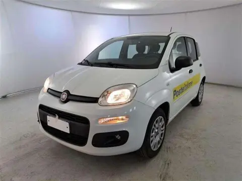 Used FIAT PANDA Petrol 2020 Ad 