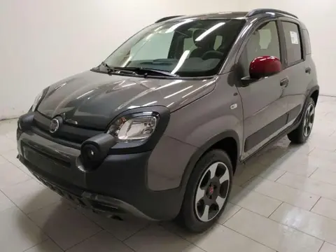 Annonce FIAT PANDA Hybride 2023 d'occasion 