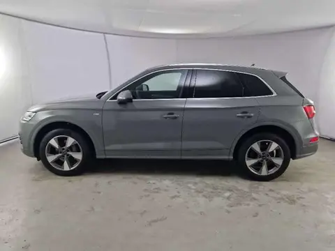 Used AUDI Q5 Diesel 2019 Ad 